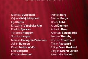 挪威11月世预赛名单:哈兰德、鲍勃、瑟尔洛特在列,厄德高伤缺